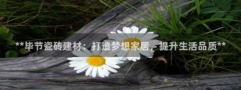 杏鑫娱乐官网