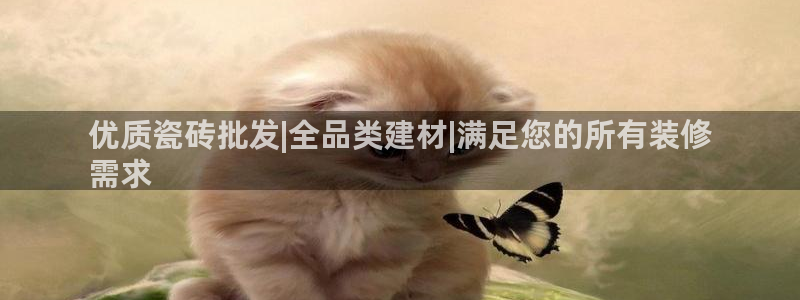 杏鑫平台代理注册多少钱啊