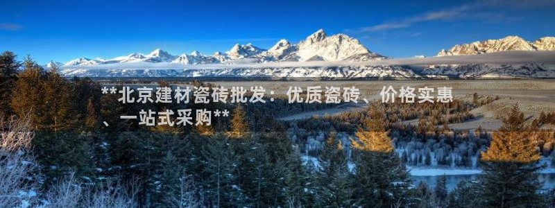 杏鑫平台代理注册多少钱一年