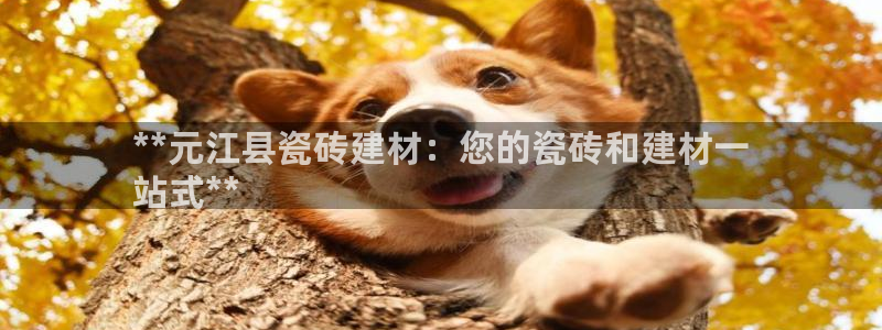 杏鑫平台靠谱吗