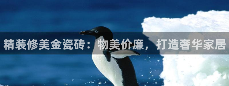 杏鑫平台招商怎么样可靠吗