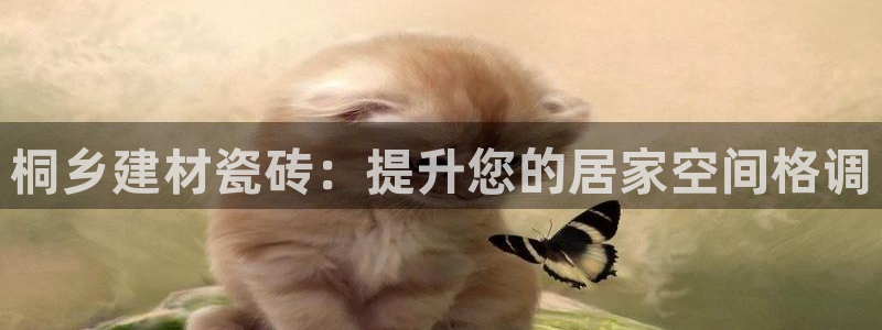 杏鑫平台在线注册流程