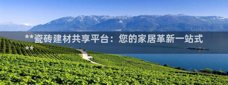 杏鑫官方平台怎么样啊