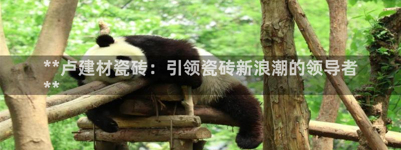 杏鑫注册登录网址是多少