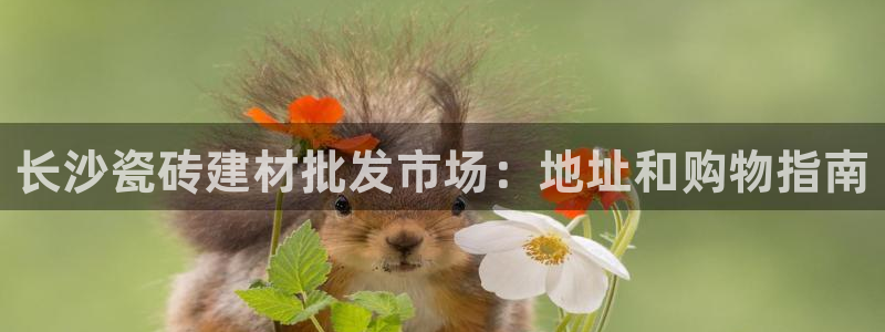 杏鑫平台念7O777