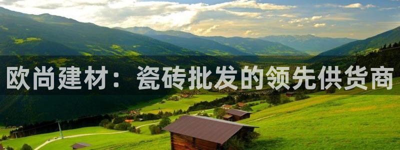 杏鑫官方平台怎么样啊