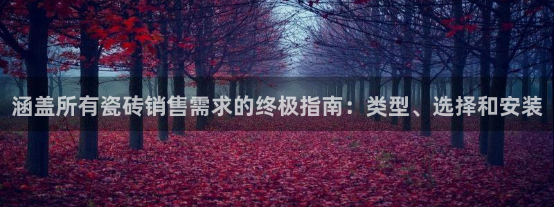 杏鑫平台代理注册流程及费用