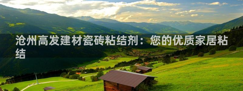 杏鑫官网最新信息新闻