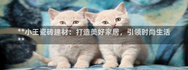 杏鑫娱乐官方网站客户端下载安装