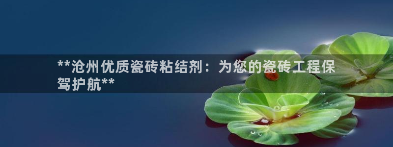 杏鑫平台招商电话