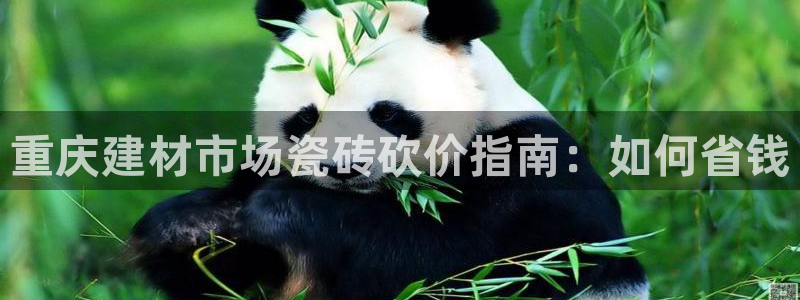 杏鑫平台怎么样黑钱吗安全吗是真的吗