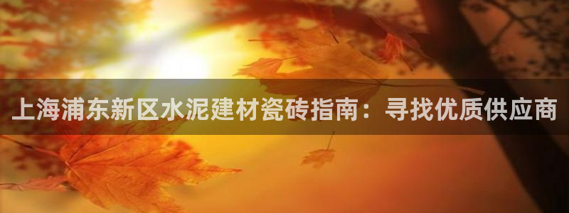 杏鑫代理注册登录