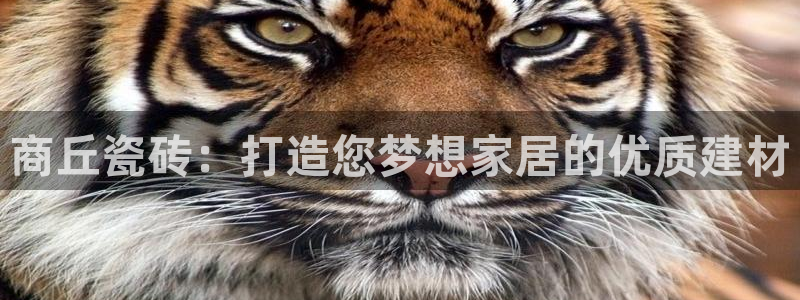 杏鑫平台正规吗是真的吗