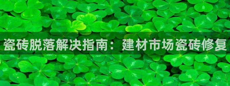 杏鑫平台平台娱乐