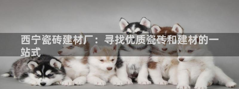 杏鑫注册平台官方网站