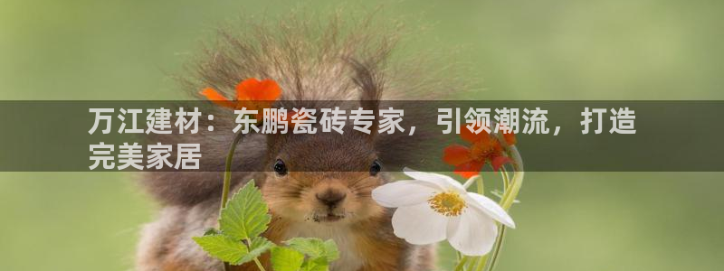 杏鑫平台代理注册流程