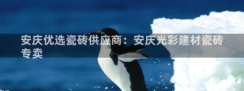 杏鑫官方app代理