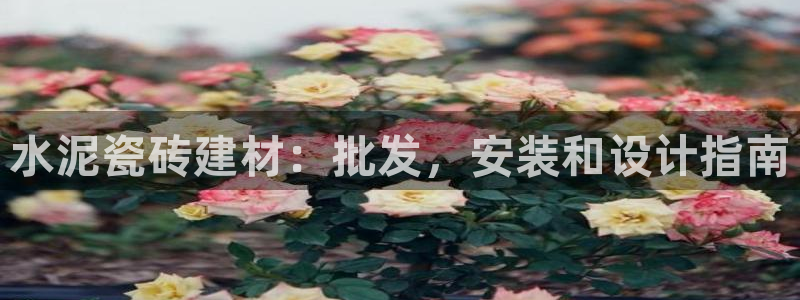 杏鑫官网注册账号是什么样的