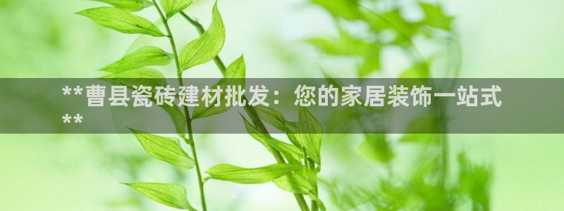 杏鑫平台直属哪个公司