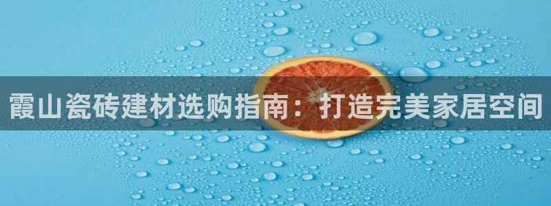 杏鑫官网最新信息