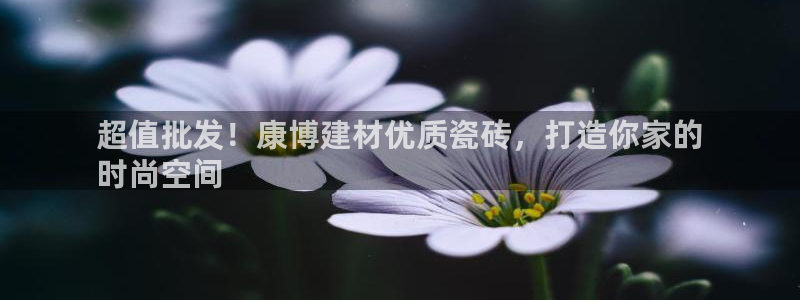 杏鑫平台在线注册