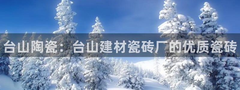 杏鑫平台平台娱乐