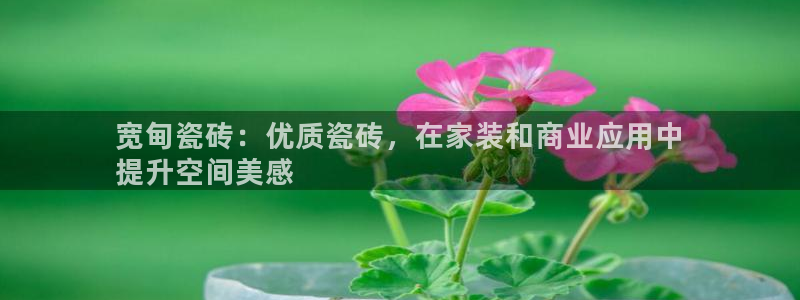 杏鑫官方平台怎么样啊安全吗