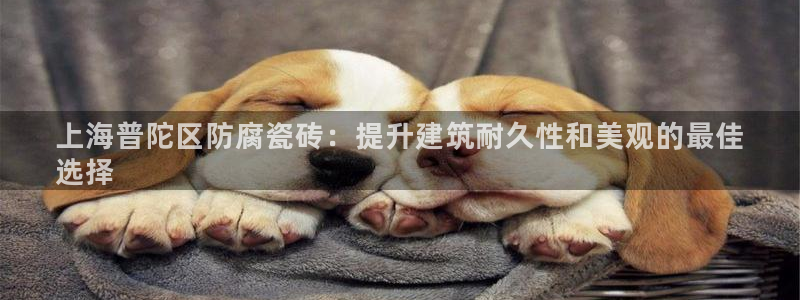 杏鑫注册平台官方网站下载