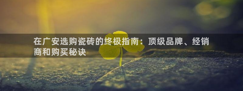 杏鑫娱乐官方网站客户端下载安装