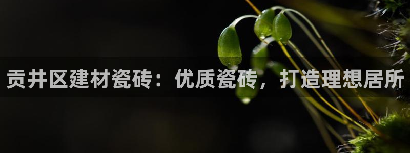 杏鑫娱乐是真的吗还是假的