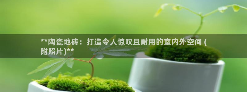 杏鑫注册平台官方网站下载