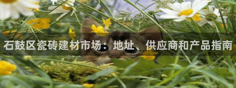 杏鑫平台号7O777