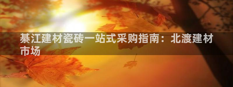 杏鑫平台代理怎么样