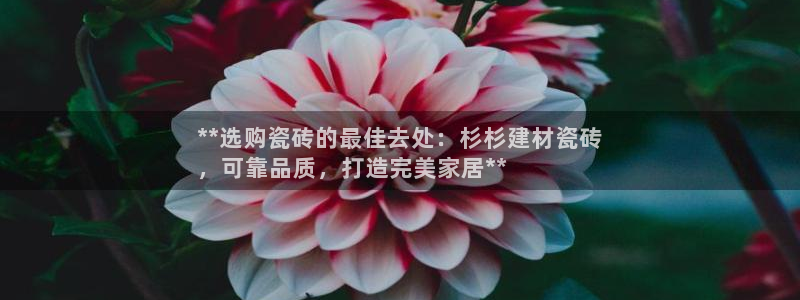 杏鑫平台怎么样黑钱吗知乎