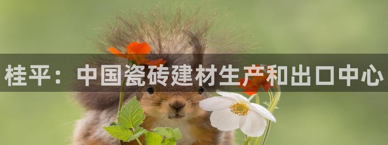 杏鑫有亏损返点吗