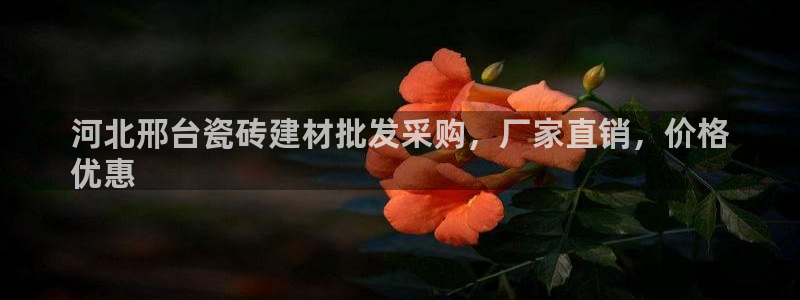 杏鑫平台代理怎么做赚钱