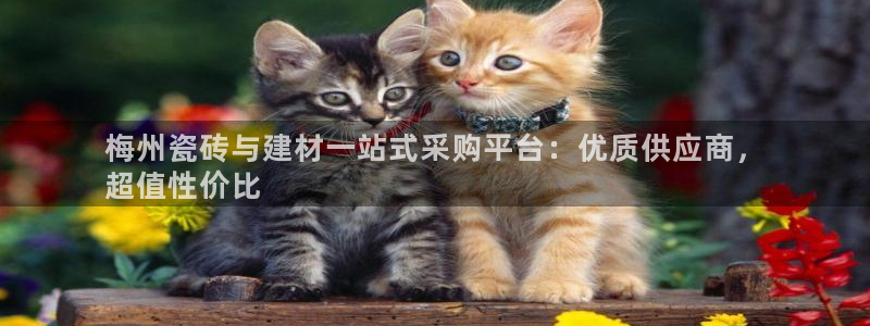 杏鑫注册平台官方网站下载