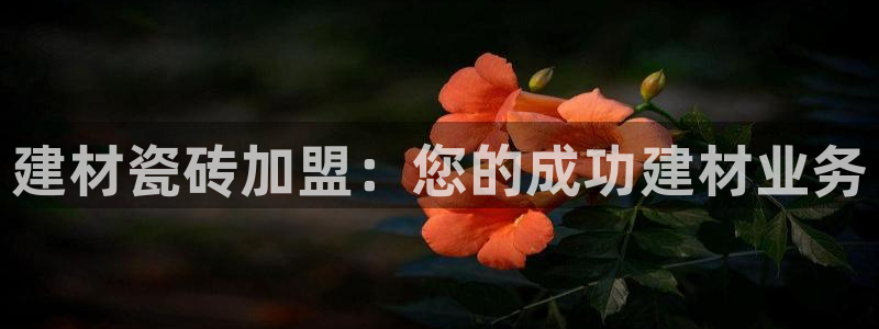 杏鑫平台怎么样