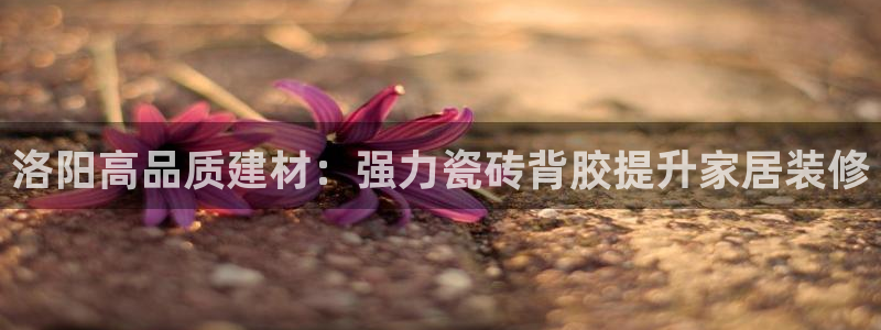 杏鑫官网注册账号是什么样的