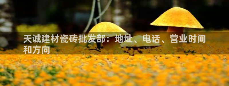 杏鑫平台代理注册多少钱一个