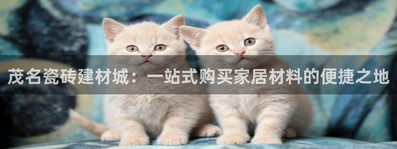 杏鑫平台怎么样黑钱吗是真的吗知乎