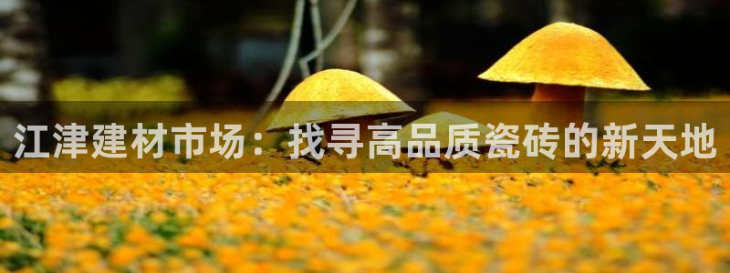 杏鑫娱乐是真的吗