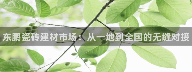 杏鑫平台在线注册怎么注册