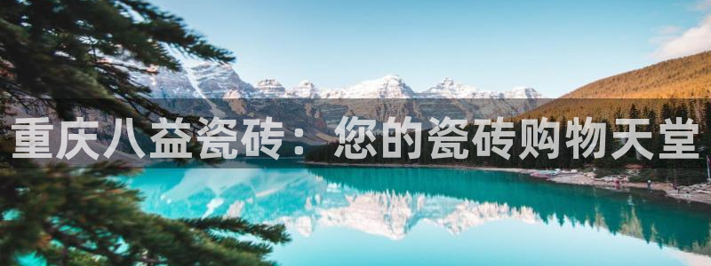 杏鑫平台登录地址查询