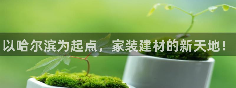 杏鑫平台代理注册流程