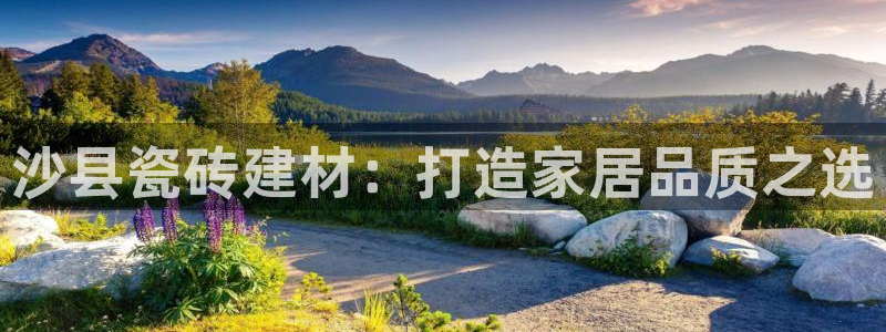 杏鑫平台号7O777