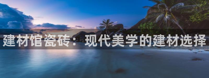 杏鑫代理注册资金多少