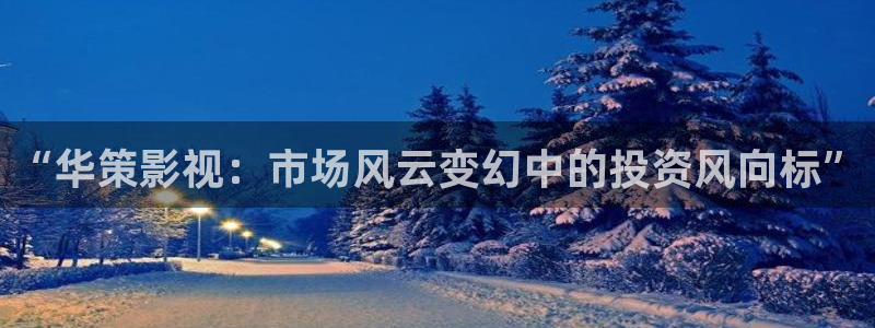 战地英雄电影免费观看：“华策影视：市场风云变幻中的投资风向标”