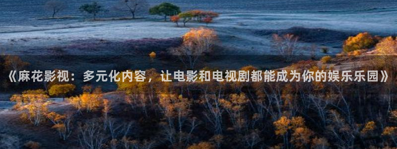 韩国电影战地影院：《麻花影视：多元化内容，让电影和电视剧都能成为你的娱乐乐园》