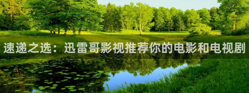 战地电影免费观看完整版：速递之选：迅雷哥影视推荐你的电影和电视剧